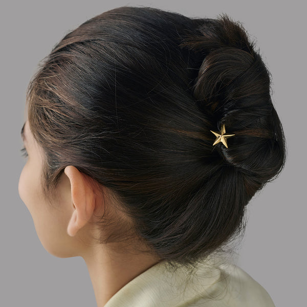 Midnight Star (French HairPin)