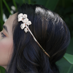 Gulmohar Grace (Wings)