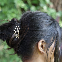 Amber Leaves (Crest)